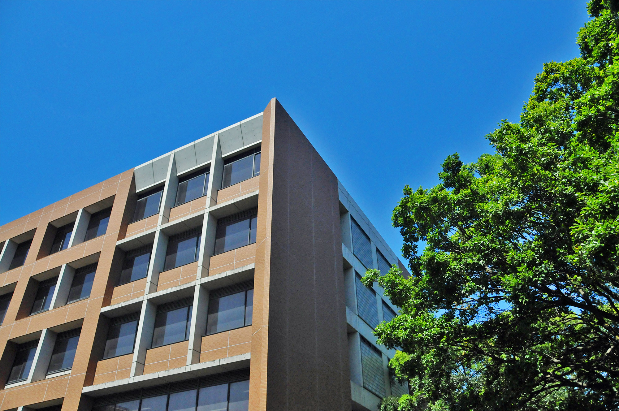 大学院 人文公共学府